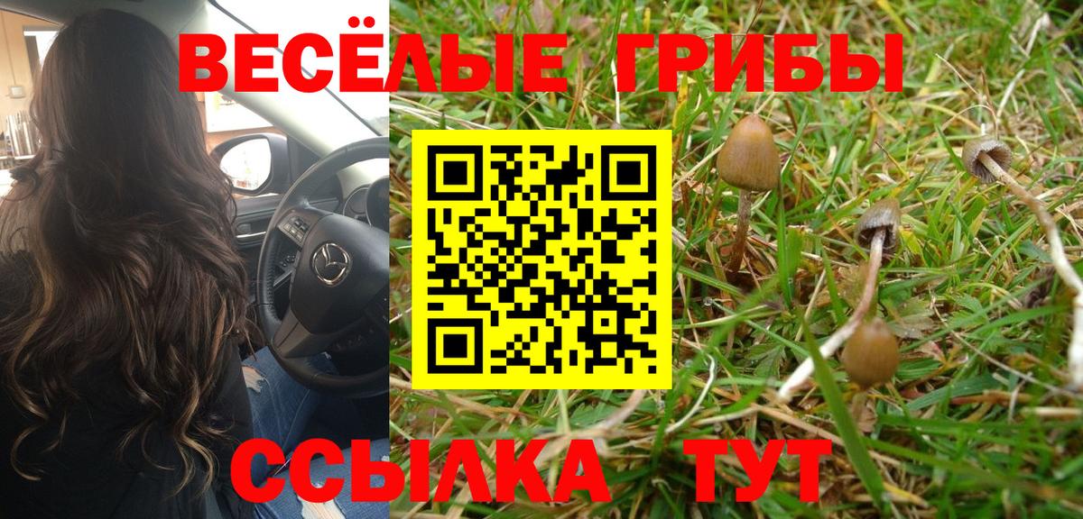 Йошкар-Ола  Псилоцибиновые грибы Psilocybe  Вход с VPN 