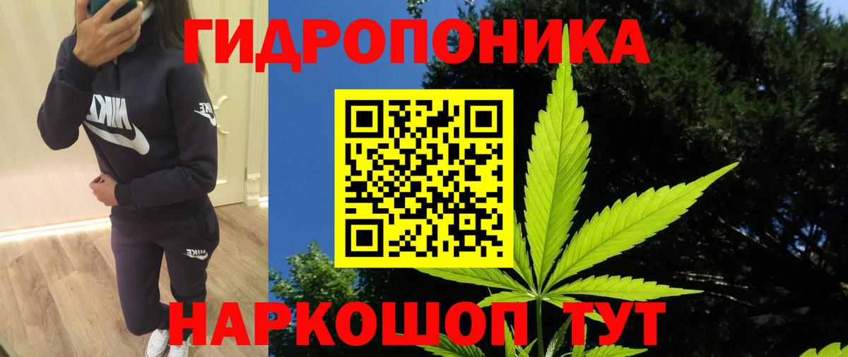 Йошкар-Ола  Марихуана план  Бошки Шишки планчик  Вход с VPN  Марихуана семена  Шишки марихуана тримм 